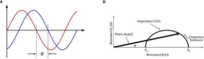 Bioelectric Impedance Analysis Test Improves the Detection of Prostate Cancer in Biopsy Candidates: A Multifeature Decision Support System